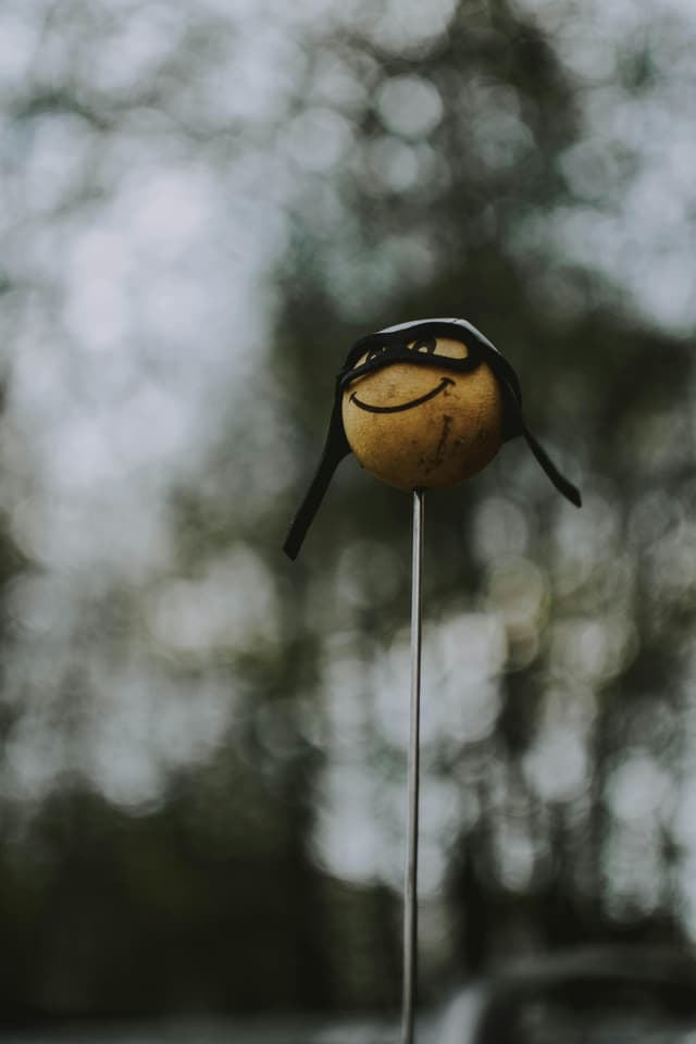 Legume distractive: cum le transformi în personaje amuzante