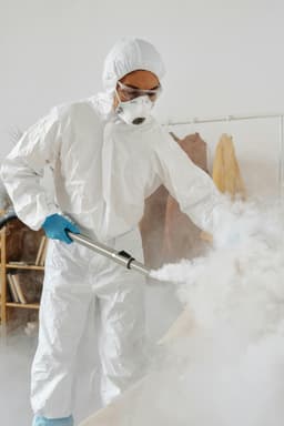 Cum recunoști o viroză față de o infecție bacteriană