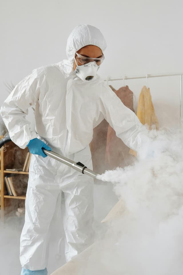 Cum recunoști o viroză față de o infecție bacteriană