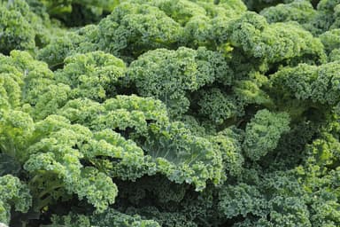 Importanța vitaminelor și mineralelor în creșterea sănătoasă